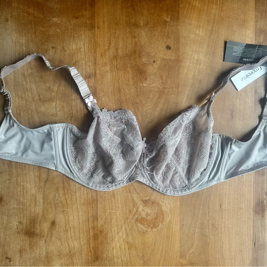 Empreinte 34 E Lace Underwire Bra In Light Gray Nwt